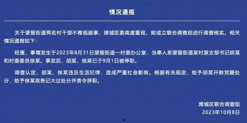 上海网红打卡事件视频,揭秘背后真相