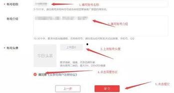 头条号如何注册开通视频,头条号视频生成注册全攻略