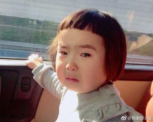 小蛮明星,璀璨星途，闪耀舞台的青春偶像