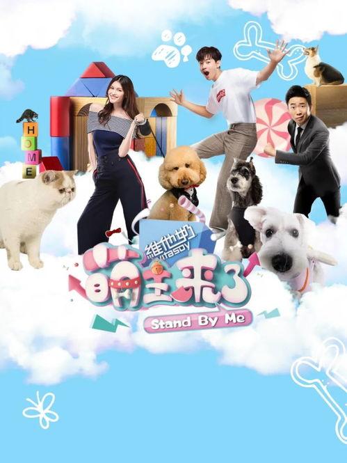 宠物与明星同名,萌宠与星光熠熠的跨界之旅