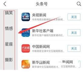 怎样加头条里的关注,头条关注添加技巧，解锁个性化资讯体验
