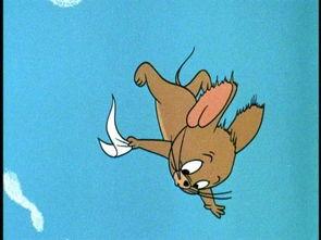 明星家进老鼠,老鼠入侵背后的故事