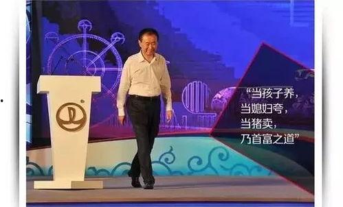 头条乱分类,内容归类背后的奥秘与挑战