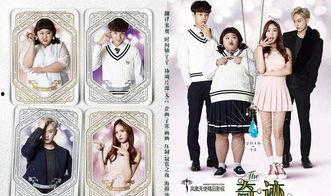 奇迹在线观看韩剧免费,揭开虚拟世界的奇幻之旅！