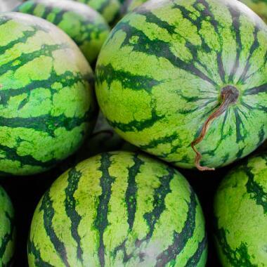 海宁二院吃瓜事件,一场网络热议背后的真相揭秘