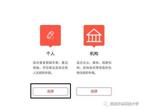 黑白树头条号,揭秘科技前沿，探索创新无限