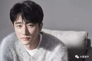 我是大明星李佳宸,从我是大明星到闪耀星途的璀璨新星