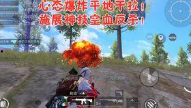 老瓜吃鸡视频,趣味横生的绝地求生之旅