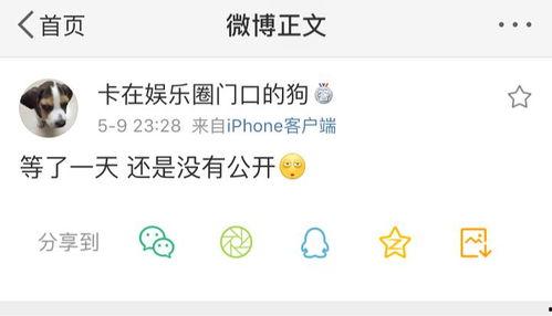 枣庄吃瓜公众号爆料,揭秘当地热门事件，带你一探究竟！