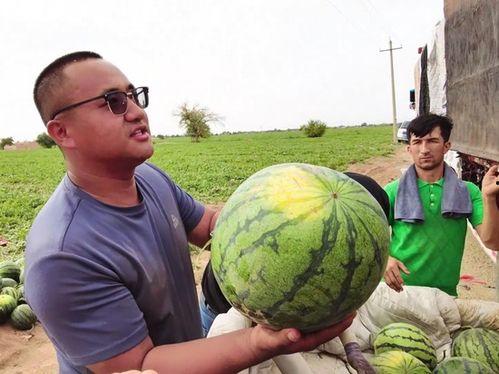 吃瓜的果报,揭秘背后的人生启示