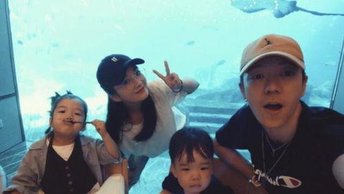 小鹿离婚爆料视频大全,揭秘婚姻背后的真相