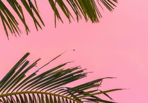 励志话语网红短句,逐梦前行——励志网红短句精选