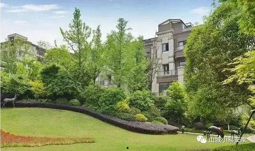 重庆网红小区约克郡,繁华都市中的静谧家园