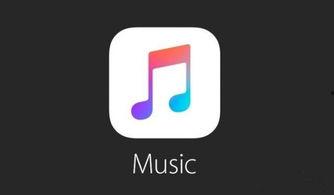 网红苹果小号视频歌曲,网红神曲带你领略音乐魅力