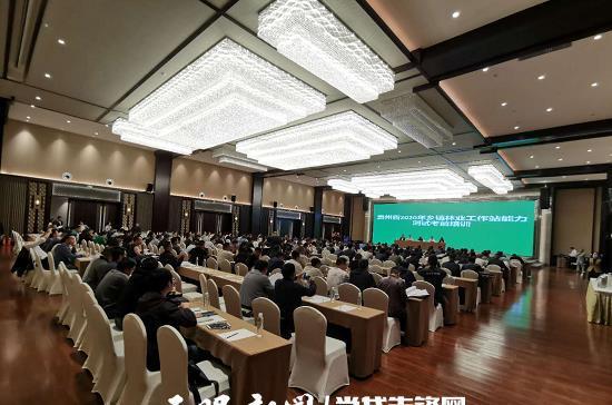 今日头条林业站站长,新时代林业发展新趋势