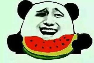 梦知吃瓜后续,揭秘娱乐圈风云再起