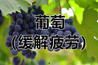 吃瓜捉虫过小暑有声,吃瓜捉虫，共度小暑时光