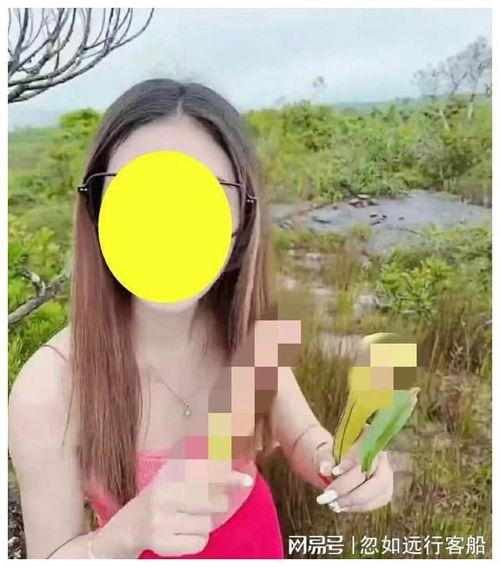 女网红摘猪笼草,惊险刺激的生态探险之旅