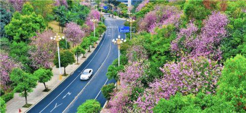 柳州网红大门照片,打卡新地标，探寻城市魅力
