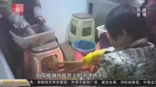 网红露营盲目跟风,网红露营热潮下的盲目跟风现象解析