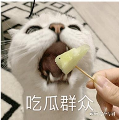 如何看待吃瓜群众现象,网络时代的围观与反思