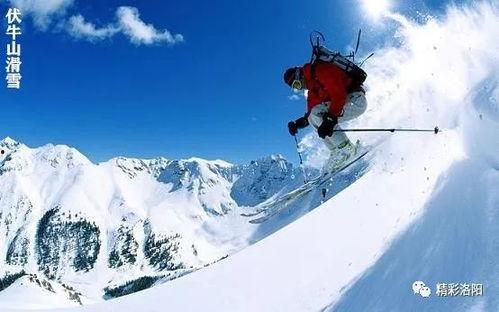 上海明星滑雪死亡视频,悲剧瞬间引发安全关注