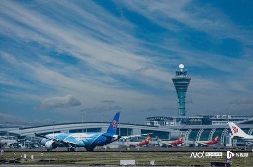 今日头条广州机场,枢纽新篇，智慧启航