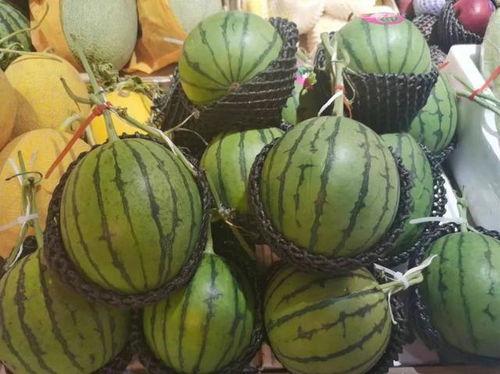 吃瓜小益,揭秘娱乐圈那些不为人知的幕后故事