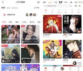 头条视频打赏在哪开通,轻松开启收益新通道