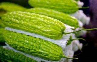 孕妇可以吃矮瓜,矮瓜助力母婴健康