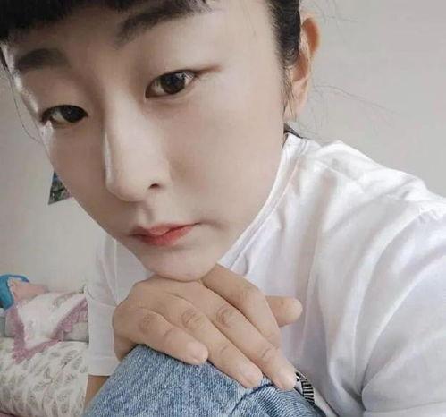 辽宁网红法子,从草根到现象级人物的蜕变之路