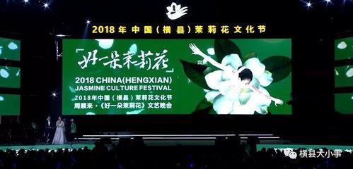 横县茉莉花头条视频,茉莉花海中的美丽瞬间