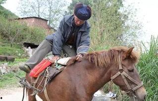 网红县长 骑马,网红县长的新风尚