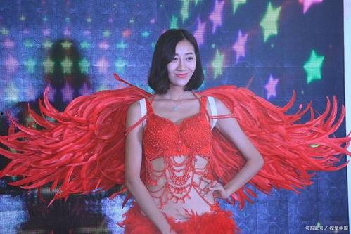 网红大情种有谁,揭秘网络红人的情感世界