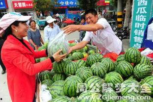 梦见吃瓜是什么意,吃瓜背后的寓意与启示