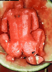 吃瓜群众gif动图,吃瓜群众表情包背后的故事