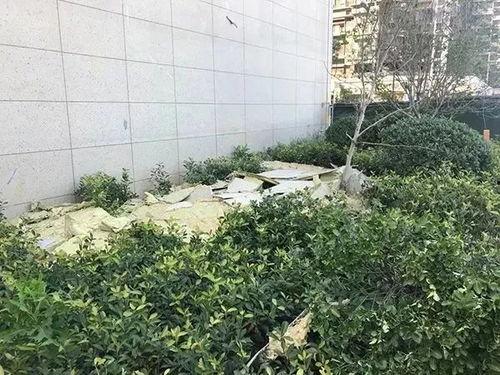 上海台风外墙脱落吃瓜,上海外墙脱落事件引发社会关注