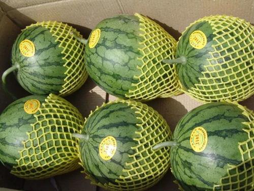 准备吃瓜的照片,一起“吃瓜”度清凉！