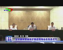 桓台金沙新闻头条,聚焦金沙新区发展新篇章