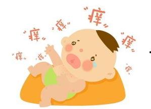 吃瓜群众的名字大全,名字大全背后的趣味人生